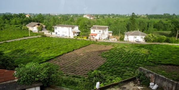 پروانه ساخت برای اراضی فاقد سند روستایی صادر می‌شود / بخشنامه ابلاغ شد