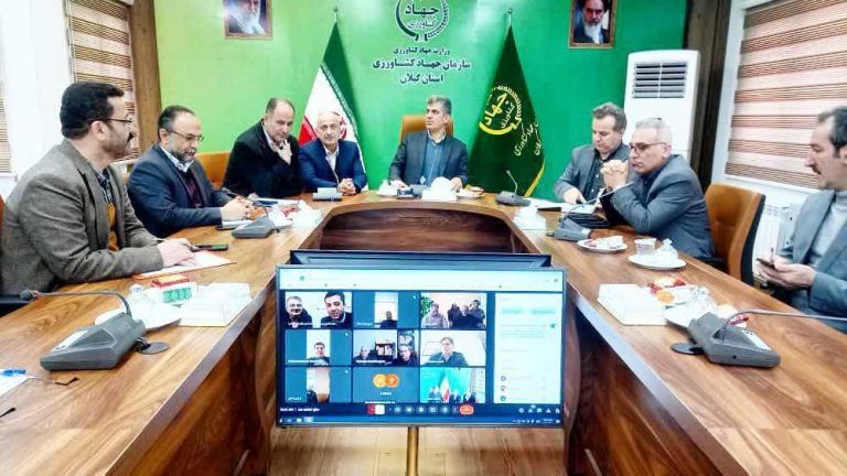 طرح نظارتی ضربتی برنج در گیلان آغاز شد / خرید برنج ایرانی به قیمت پایین توسط دلالان