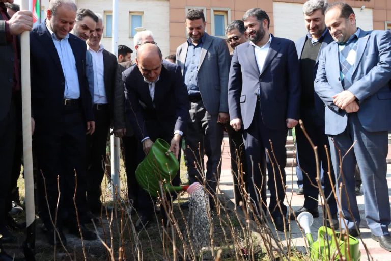 ۴۰۰ هزار اصله نهال در مدارس و فضاهای عمومی گیلان غرس می شود