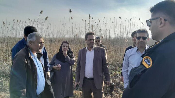 حریق تالاب بین‌المللی انزلی مهار شد / آماده باش دو اکیپ به مدت ۲۴ ساعت در محل آتش سوزی