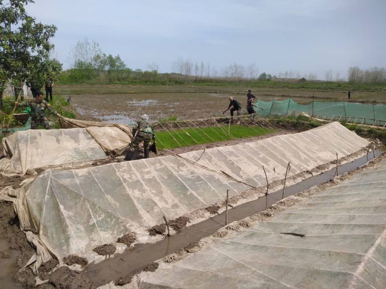 رفع تصرف از ۴ هزار متر اراضی ملی روستای توکسر شیجان توسط منابع طبیعی