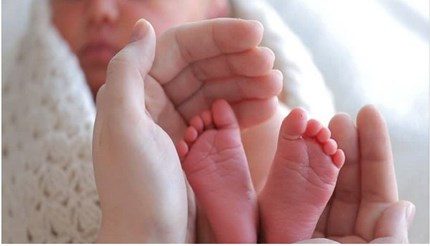 ثبت ۱۷۰۸۲ واقعه ولادت در سال ۱۴۰۳ در گیلان؛ سهم پسرها کمی بیشتر از دخترها