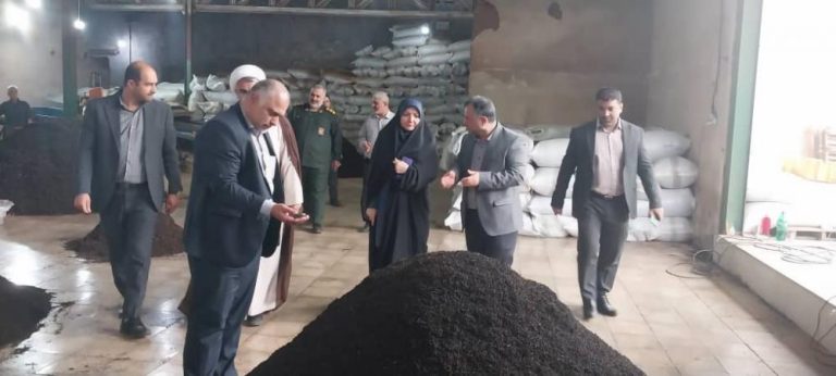 میراعلمی: سرمایه‌گذاری در بخش چای نتیجه‌بخش خواهد بود