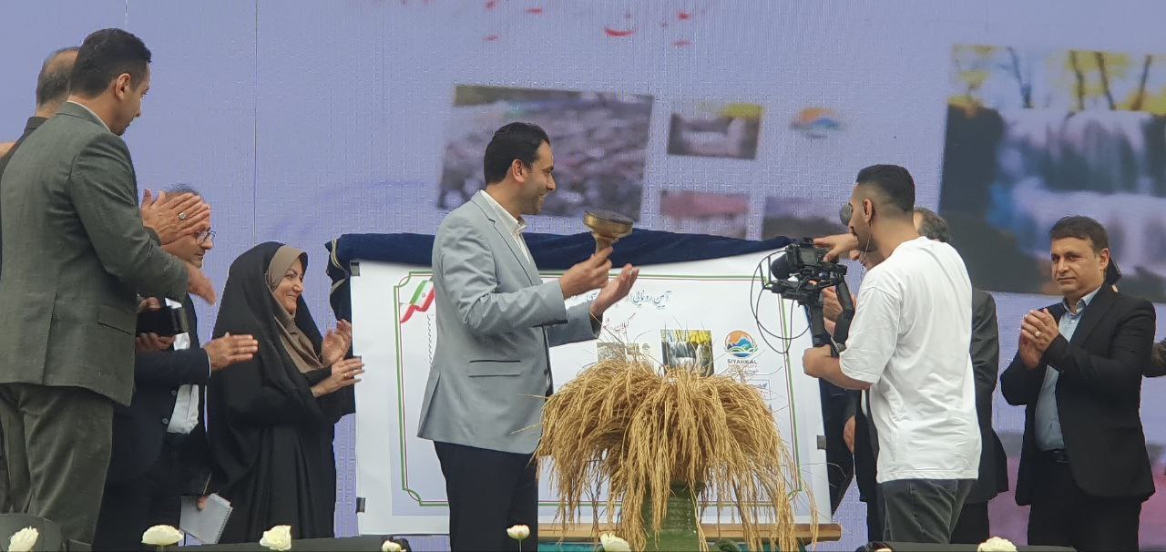 رونمایی تمبر اختصاصی سومین جشنواره ملی سیاهکل + تصاویر ۶