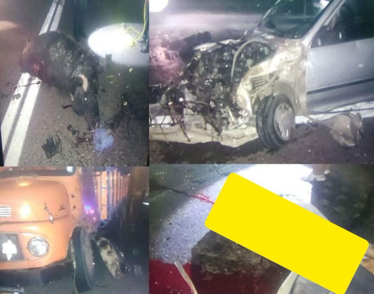 رها شدن گاومیش در جاده، جان راننده پراید را گرفت