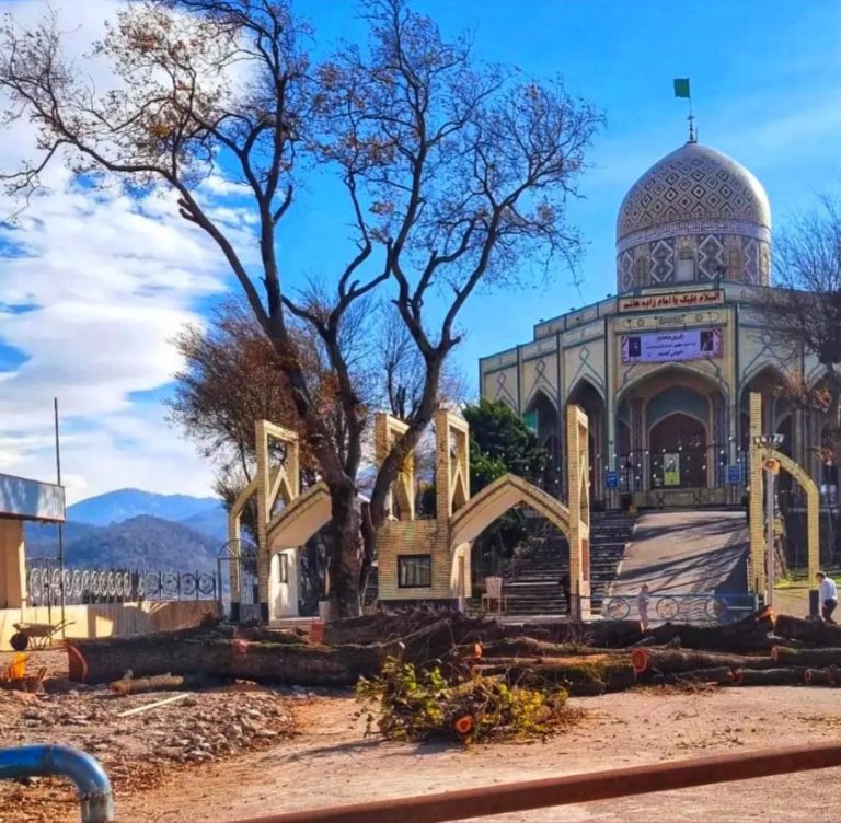 نادیده گرفتن میراث طبیعی و معنوی گیلان در قطع درختان امامزاده هاشم (ع) رشت