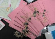 سال آینده هیچ سند دفترچه‌ای در دست مالکان باقی نمی‌ماند / واحدهای ثبت آماده ارائه خدمات تبدیل به تک‌برگ هستند