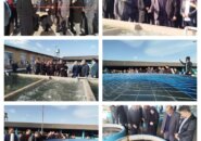 بهره‌برداری از پروژه افزایش ظرفیت ۳۵ تنی مولدین ماهیان خاویاری در سیاهکل