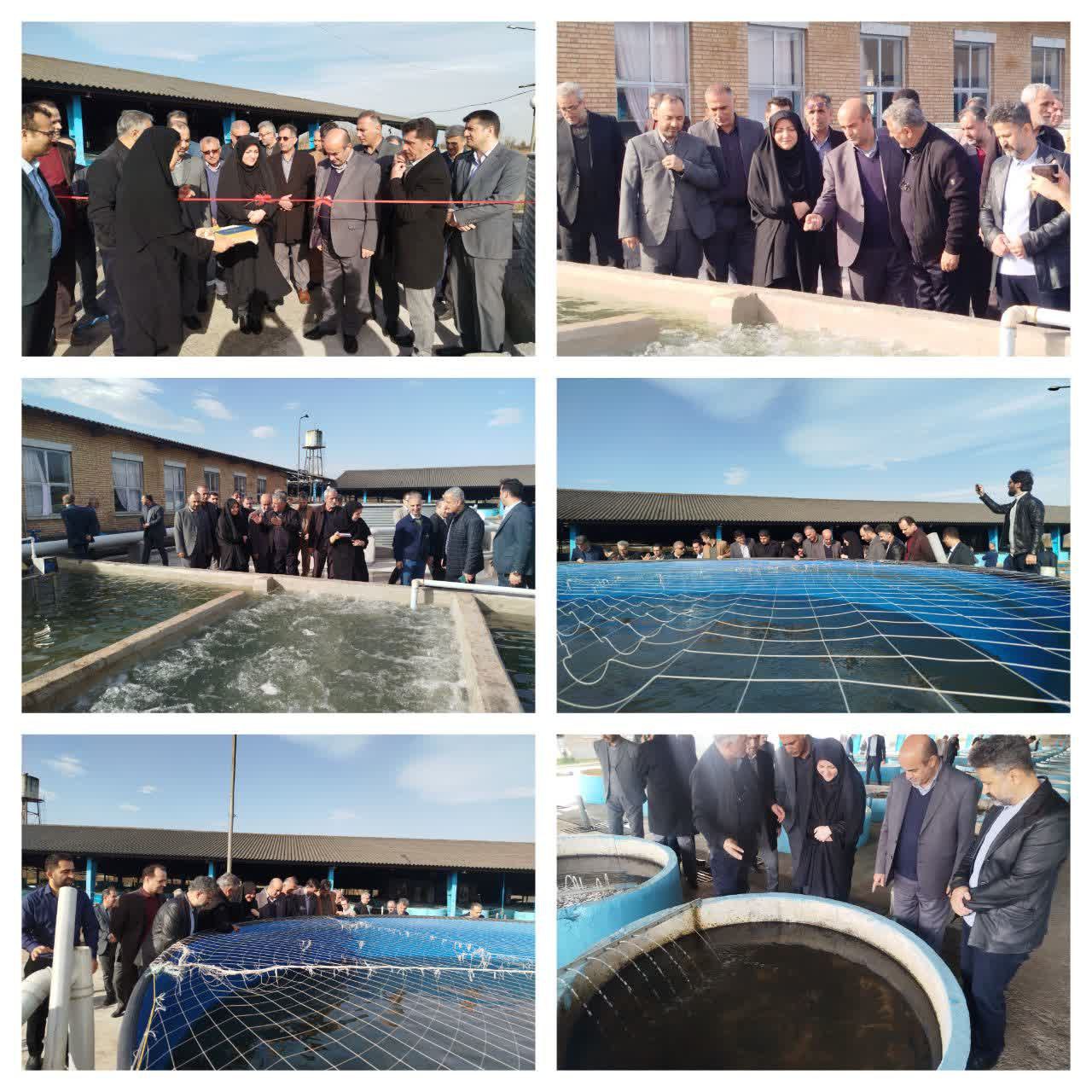 بهره‌برداری از پروژه افزایش ظرفیت ۳۵ تنی مولدین ماهیان خاویاری در سیاهکل