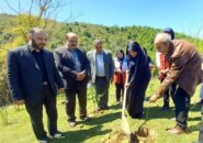 کاشت ۱۶۸ نهال در سوتگوابر به یاد دانش‌آموزان جان‌باخته و شهدای اخیر