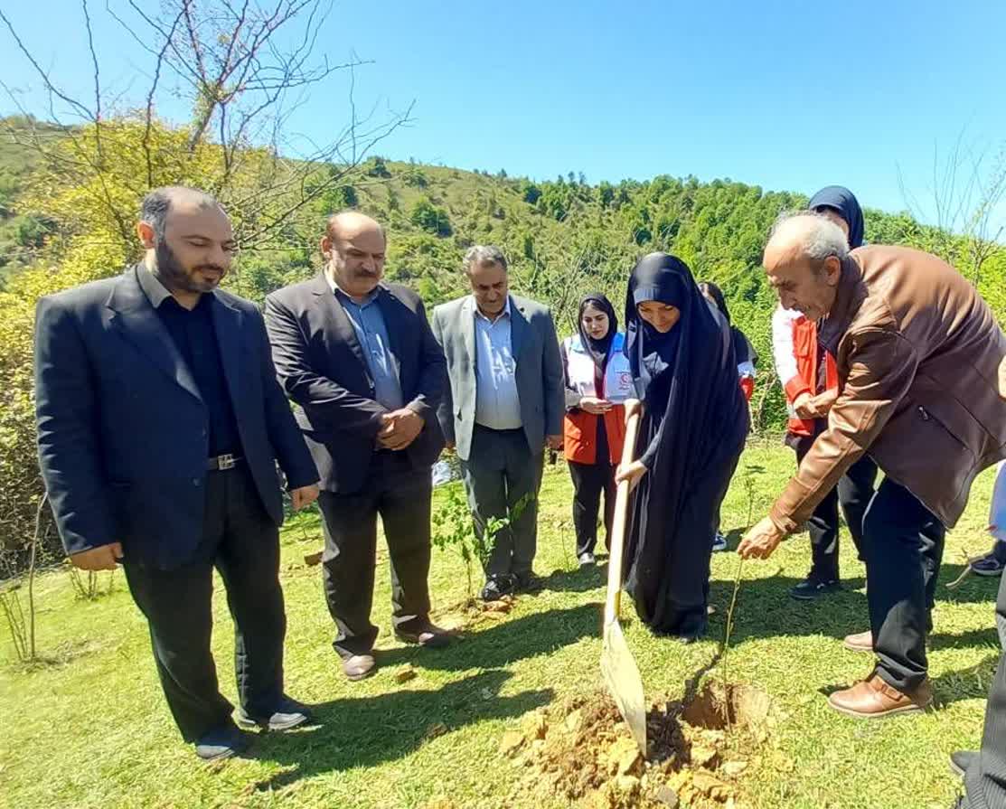 کاشت ۱۶۸ نهال در سوتگوابر به یاد دانشآموزان جانباخته و شهدای اخیر