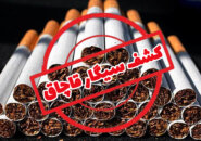 توقیف خودرو حامل سیگار قاچاق در سیاهکل