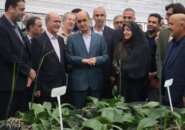 بازدید استاندار گیلان از شهرک بزرگ گلخانه ای دیسام سیاهکل